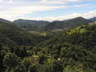 Baita del bosco - Laino - 3