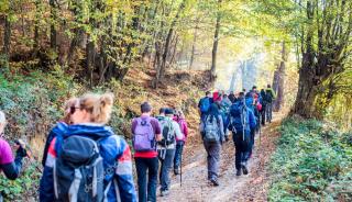The Himalayan Heaven Binsar - 1