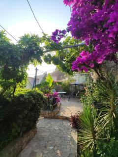 Villa Mihael - Celina - 8
