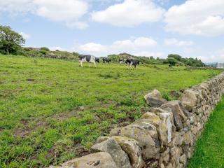 3 Bed in Crich 78717 - Crich - 6