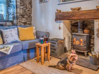 1 bed property in Trefor Beach 77891 - Llanaelhaiarn - 9