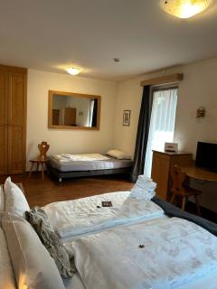 Hotel Rio Bianco - Panchià - 7