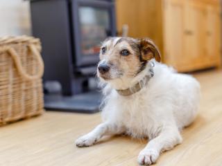 1 bed property in Prixford Devon 77479 - Marwood - 1