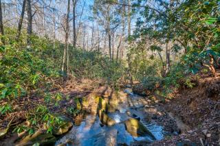 Cabin in Blue Ridge Hot Tub Games & Creek - Blue Ridge - 9