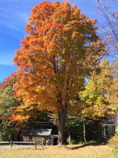 1894 Catskills Farmhouse Retreat - Tannersville - 7