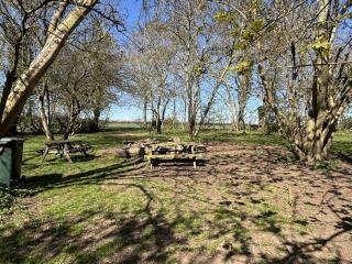 Glamping and Camping at The Orchard - Redbourn - 4