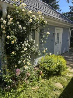 Haus Madita - Breitnau - 8