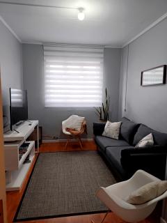 Departamento Carrera Pinto - Punta Arenas - 6