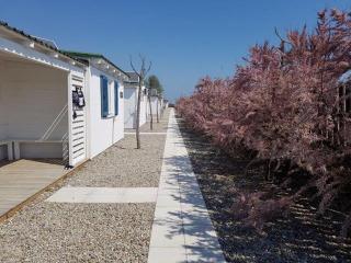 Aquarius Policoro - 5