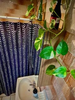 Peace apartment - San Miguel de Allende - 1