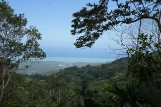 La Merecida, Nature Reserve, Coffee Cocoa Wellness - La Esmeralda - 9