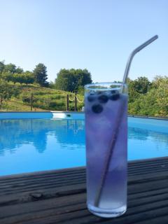 OPG Rose Hip Hill ekološko imanje - Brežnica - 8