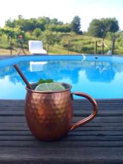 OPG Rose Hip Hill ekološko imanje - Brežnica - 9