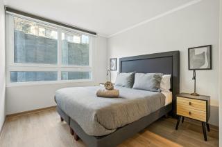 Equipped and Modern Apartment - Santiago - 5