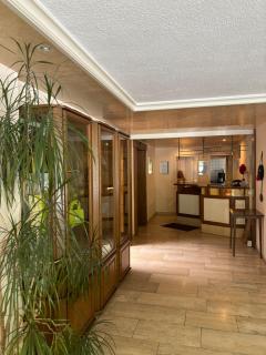 Hotel Wasserfall Garni - Oberndorf - 7