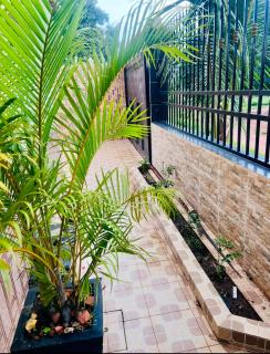 Duplex tx4 - Bissau - 3