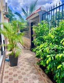 Duplex tx4 - Bissau - 8