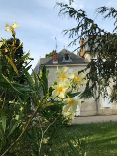 Manoir La Bordeneuve - 8