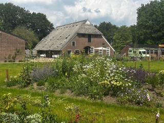 In de Dikke Bertha - Wapse - 9