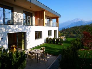 Felsenegg appartements - 9