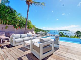 Villa de rêve avec piscine privée, clim et Wi-Fi à Saint-Martin - FR-1-734-56 - Marigot - 5