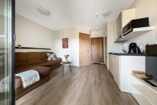 Cozy Mill apartment - 8