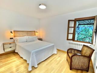 Fuentes del Narcea apartamentos rurales - Cangas del Narcea - 1