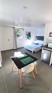 Palm Activity - Saint-Pierre - 8