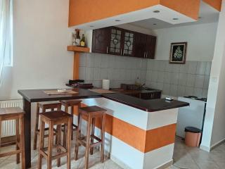 Apartman Ilić - Vrnjačka Banja - 5