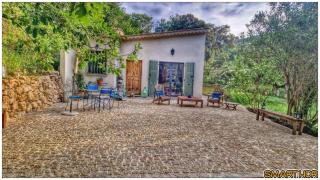La Pampanette - Cagnes-sur-Mer - 3