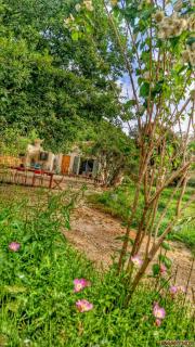 La Pampanette - Cagnes-sur-Mer - 9