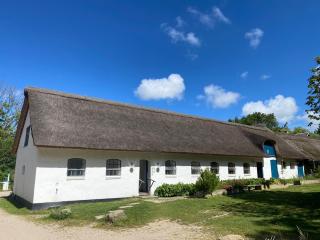 Byaasgaard - Naturecamp & Microfarm - Hundested - 3
