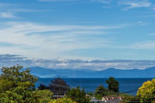 Henry Hill Cottage - The quintessential Kiwi bach - 7