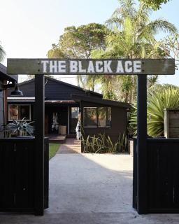 The Black Ace Yamba - 9