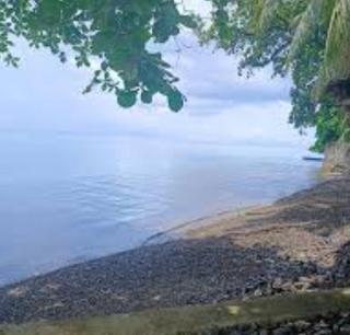 Bamboo BayBay Resort - - 4