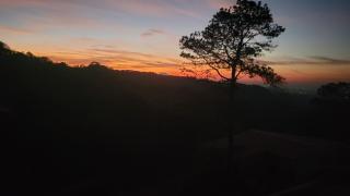 Domo Green Life montaña - 0