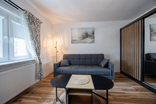 AT BANDURSKIEGO apartment - Stettino - 8