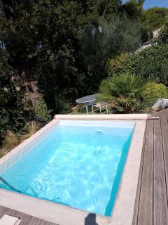 Villa avec petite piscine dans cadre verdoyant - Bollène - 0