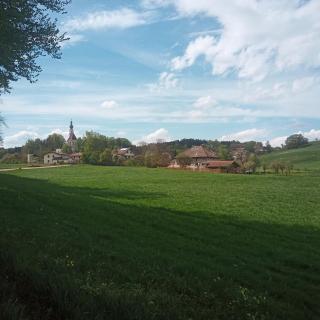 Burg 2 - Ferienwohnungen - Taching am See - 9