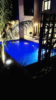 Luxury Villa Pool ,AC ,Tropical Garden ,South of France - Juvignac - 4