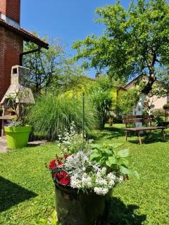 Studio apartman Marica - Ogulin, Hrvatska - Ogulin - 5