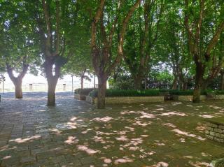 Affittacamere Scacco Matto - - 9