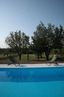 Vila Aleksandar - Krčedin - 5