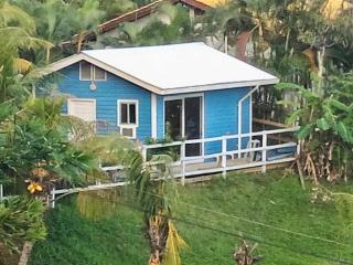 Blue haus - Punta Caribe - 0
