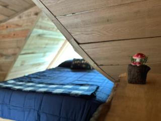 Glamping Forest Hideaway Hike-grill-stargaze - Simcoe - 3