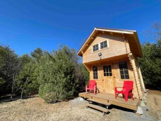 Forest Bunkie Trails & Stargazing - Simcoe - 9