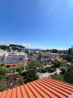 Las Cycas - Ischia - 3