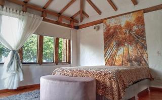 Suites acogedoras en hermosa casa - Bogotá - 1