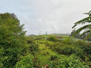 The Lotus Nest - Ooty - 5