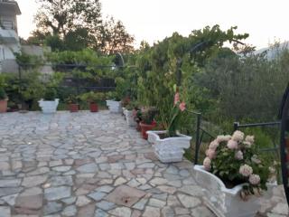 Bixhaku GuestHouse - 1